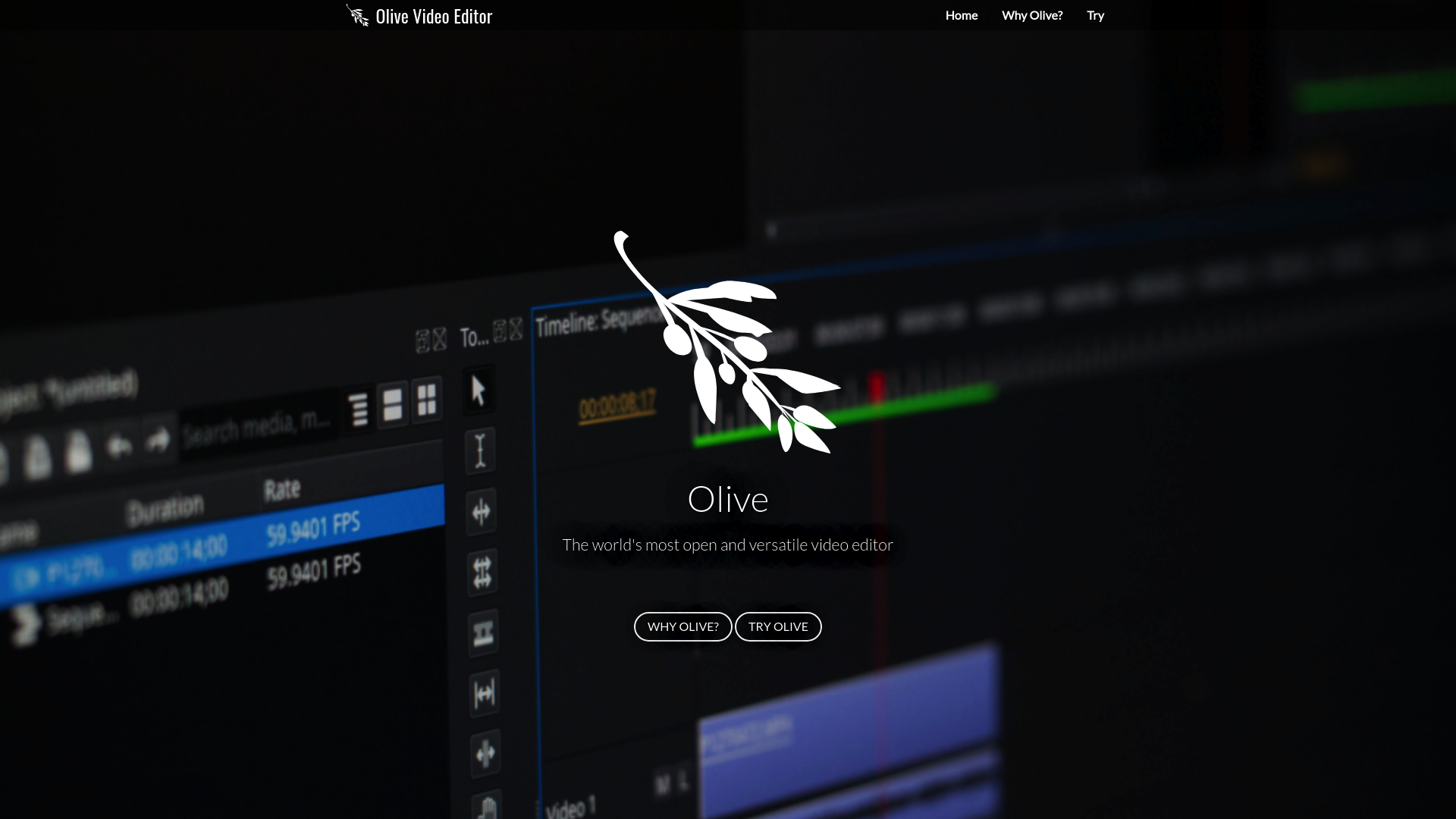 Olive Editor screenshot